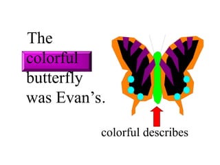 The
colorful
butterfly
was Evan’s.
colorful describes
 