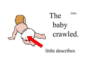 The little
baby
crawled.
little
little describes
 