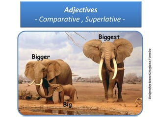 Adjectives
 - Comparative , Superlative -

                     Biggest


Bigger




          Big
 
