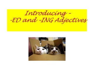 Introducing – 
-ED and –ING Adjectives 
 