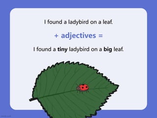 I found a ladybird on a leaf.
+ adjectives =
I found a tiny ladybird on a big leaf.
 