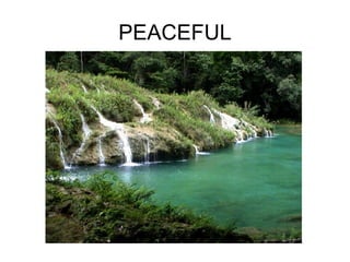 PEACEFUL 