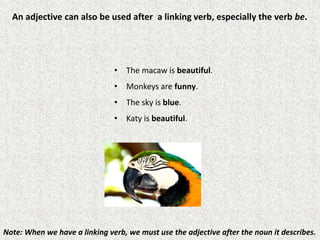 An adjective can also be used after a linking verb, especially the verb be.
• The macaw is beautiful.
• Monkeys are funny.
• The sky is blue.
• Katy is beautiful.
Note: When we have a linking verb, we must use the adjective after the noun it describes.
 