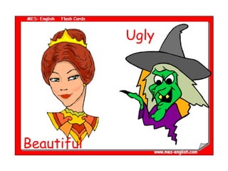 Beautiful Ugly