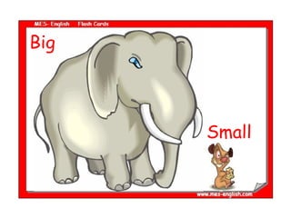 Big Small