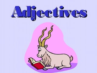 Adjectives

 
