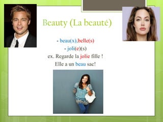 Beauty (La beauté)
      - beau(x),belle(s)
          - joli(e)(s)
 ex. Regarde la jolie fille !
     Elle a un beau sac!
 