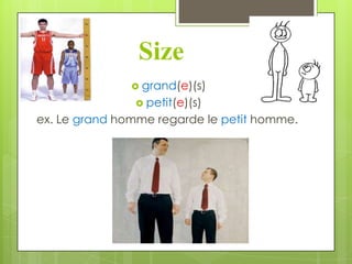 Size
                grand(e)(s)
                petit(e)(s)
ex. Le grand homme regarde le petit homme.
 