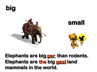 big
big
small
small
Elephants are big____ than rodents.
Elephants are big____ than rodents.
ger
ger
Elephants are
Elephants are the
the big ____ land
big ____ land
mammals in the world.
mammals in the world.
gest
gest
 