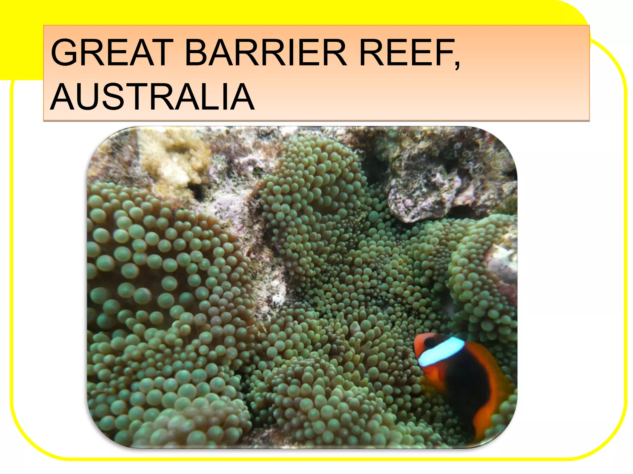 GREAT BARRIER REEF,
AUSTRALIA
GREAT BARRIER REEF,
AUSTRALIA
 