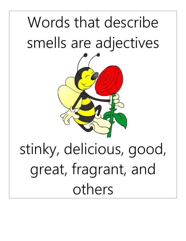 Adjectives Display