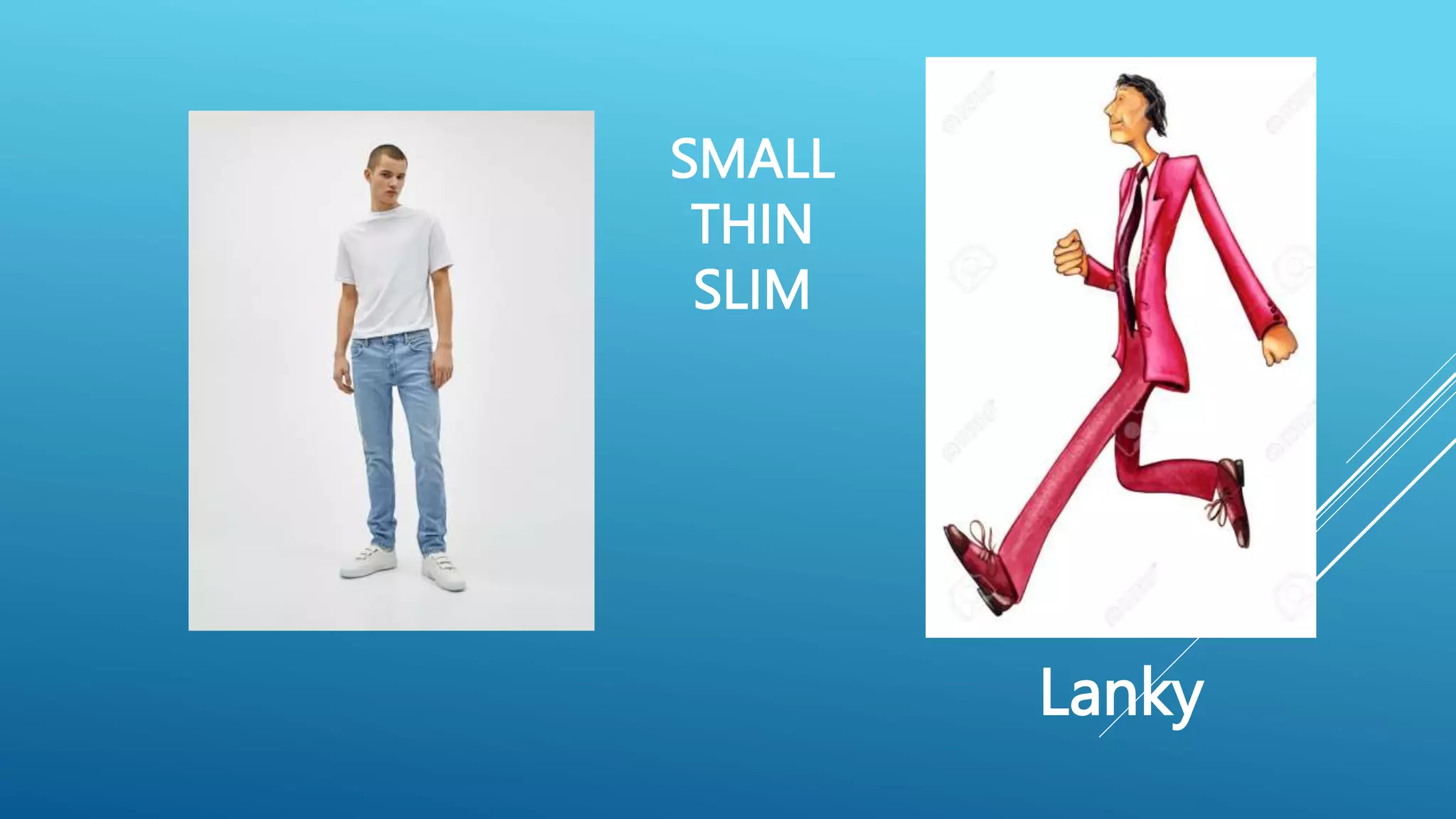 SMALL
THIN
SLIM
Lanky