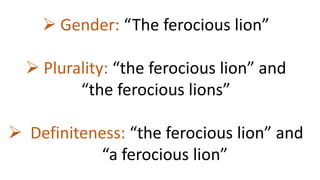  Gender: “The ferocious lion”
 Plurality: “the ferocious lion” and
“the ferocious lions”
 Definiteness: “the ferocious lion” and
“a ferocious lion”
 