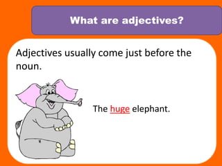 What are adjectives?Adjectives usually come just before the noun. The huge elephant. 