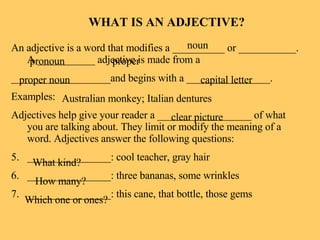WHAT IS AN ADJECTIVE? ,[object Object],[object Object],[object Object],[object Object],[object Object],[object Object],[object Object],noun pronoun proper proper noun capital letter  Australian monkey; Italian dentures clear picture What kind? How many? Which one or ones? 