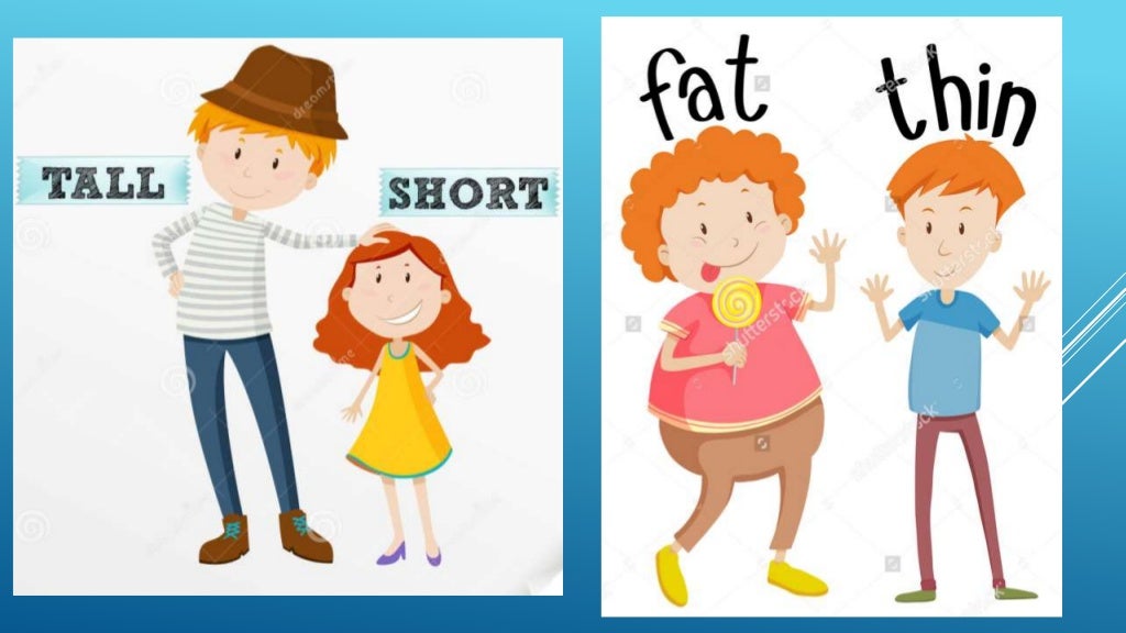 Tall short fat thin. Short Tall для детей. Толстый худой на английском для детей. Толстый и худой. Tall картинка.