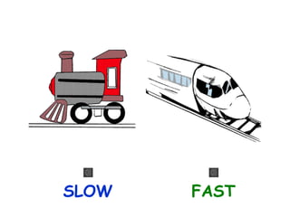 SLOW

FAST

 