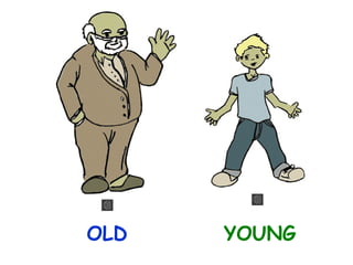 OLD

YOUNG

 