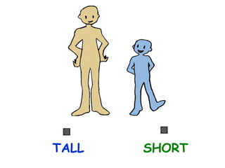 TALL

SHORT

 