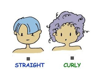 STRAIGHT

CURLY

 