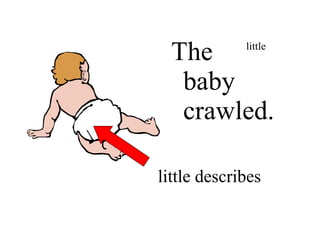 The little
baby
crawled.
little
little describes
 