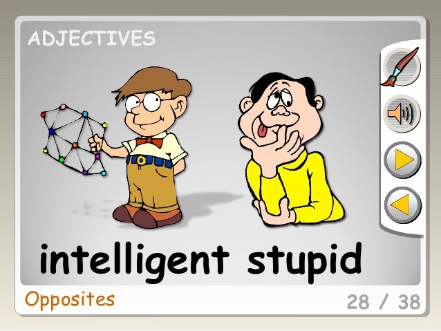 Adjectives