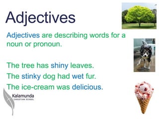 Adjectives
Adjectives are describing words for a
noun or pronoun.

The tree has shiny leaves.
The stinky dog had wet fur.
The ice-cream was delicious.
 