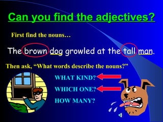 Can you find the adjectives?
 First find the nouns…

The brown dog growled at the tall man.
Then ask, “What words describe the nouns?”
                WHAT KIND?
                WHICH ONE?
                HOW MANY?
 