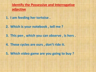 1. I am feeding her tortoise .
2. Which is your notebook , tell me ?
3. This pen , which you can observe , is hers .
4. These cycles are ours , don’t ride it.
5. Which video game are you going to buy ?
Identify the Possessive and Interrogative
adjective
 