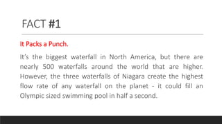 FACT #1
It Packs a Punch.
It’s the biggest waterfall in North America, but there are
nearly 500 waterfalls around the world that are higher.
However, the three waterfalls of Niagara create the highest
flow rate of any waterfall on the planet - it could fill an
Olympic sized swimming pool in half a second.
 