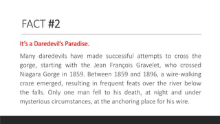 FACT #2
It’s a Daredevil’s Paradise.
Many daredevils have made successful attempts to cross the
gorge, starting with the Jean François Gravelet, who crossed
Niagara Gorge in 1859. Between 1859 and 1896, a wire-walking
craze emerged, resulting in frequent feats over the river below
the falls. Only one man fell to his death, at night and under
mysterious circumstances, at the anchoring place for his wire.
 