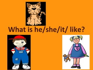 What is he/she/it/ like?