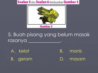 5. Buah pisang yang belum masak rasanya _____________. kelat B. manis geram D.  masam 