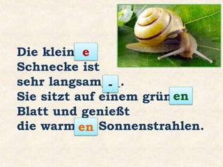 Die klein___
Schnecke ist
sehr langsam___.
Sie sitzt auf einem grün___
Blatt und genießt
die warm___ Sonnenstrahlen.
e
-
en
en
 