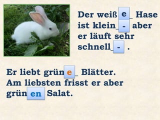 Der weiß ___ Hase
ist klein___ aber
er läuft sehr
schnell___ .
Er liebt grün___ Blätter.
Am liebsten frisst er aber
grün___ Salat.
e
-
-
e
en
 