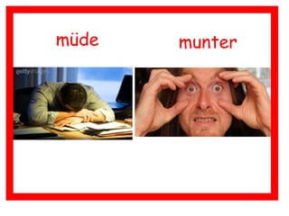müde munter
 