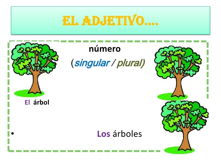 26+ Adjetivo De Arbol Background Tipos