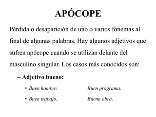 APÓCOPE
Pérdida o desaparición de uno o varios fonemas al
final de algunas palabras. Hay algunos adjetivos que
sufren apócope cuando se utilizan delante del
masculino singular. Los casos más conocidos son:
– Adjetivo bueno:
• Buen hombre. Buen programa.
• Buen trabajo. Buena obra.
 