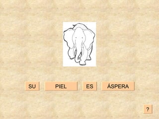 PIEL ÁSPERA ES SU ? 