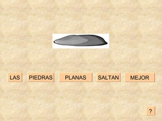 SALTAN PLANAS PIEDRAS LAS MEJOR ? 