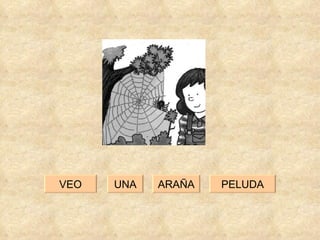 UNA PELUDA VEO ARAÑA 