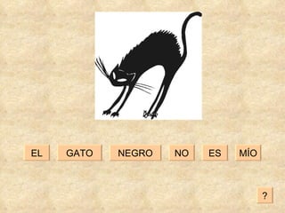 GATO EL ES NO NEGRO MÍO ? 
