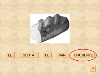GUSTA CRUJIENTE EL LE PAN ? 
