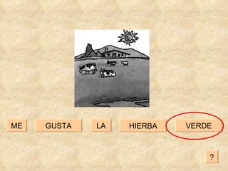 GUSTA VERDE LA ME HIERBA ? 