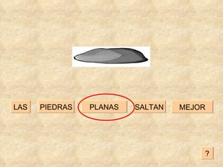 SALTAN PLANAS PIEDRAS LAS MEJOR ? 