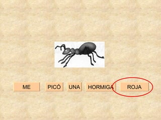 PICÓ ROJA ME UNA HORMIGA 