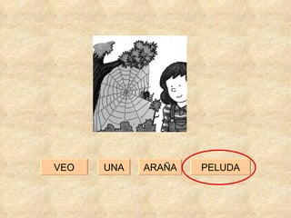 UNA PELUDA VEO ARAÑA 