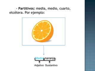 - Partitivos: media, medio, cuarto,
etcétera. Por ejemplo:
Media naranja
Adjetivo Sustantivo
