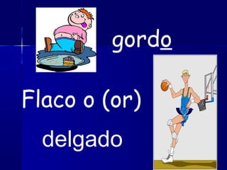 gordo
Flaco o (or)
delgado
 