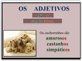 Os cachorrinhos são
 